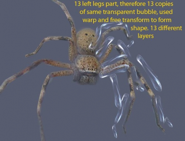 Creation of Glass Spider: Step 5